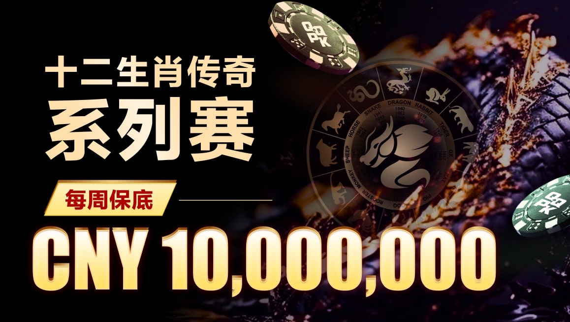 新手训练营